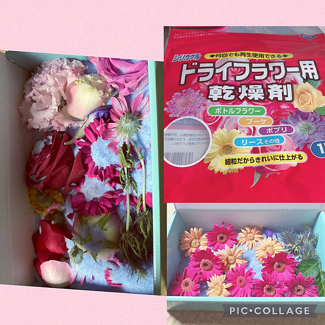 shoさんの実例写真