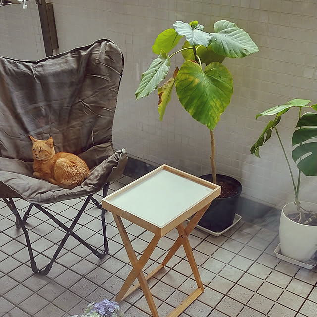 hanacocoさんの実例写真