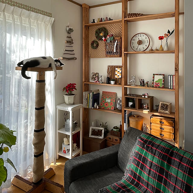 nobikoさんの部屋