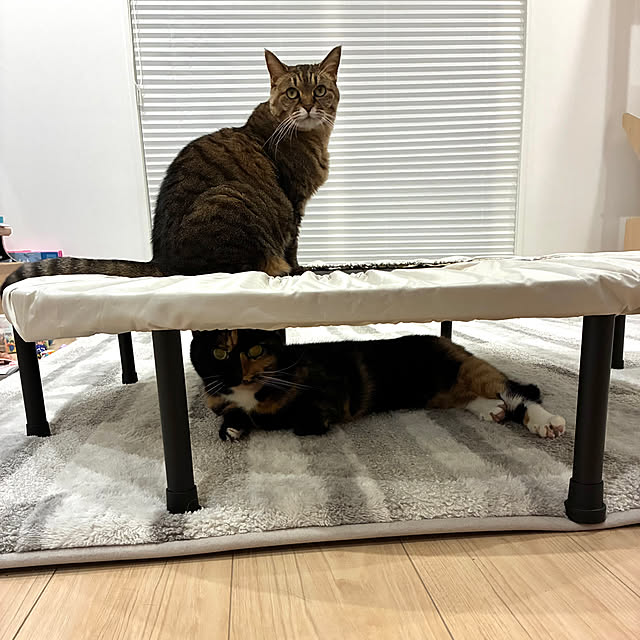 kirinsanさんの部屋