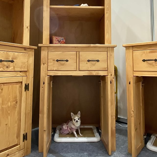 taitainteさんの実例写真