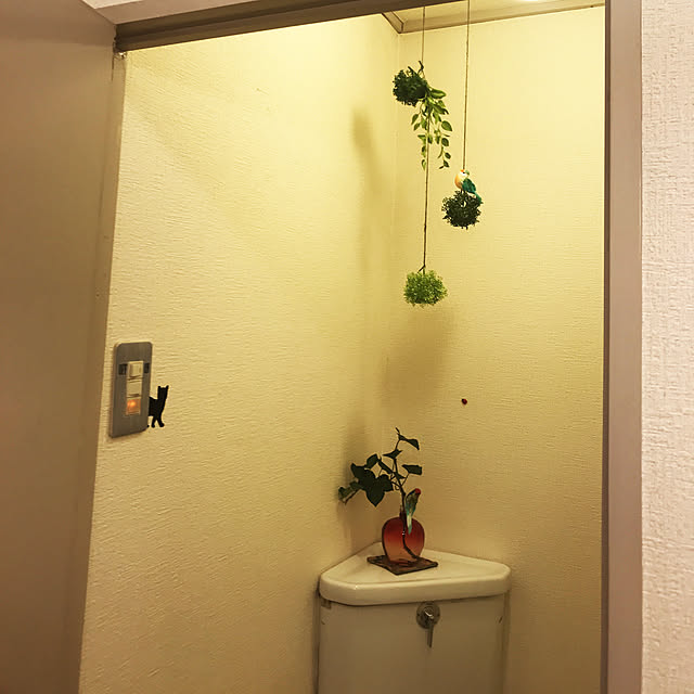 tanumaさんの実例写真