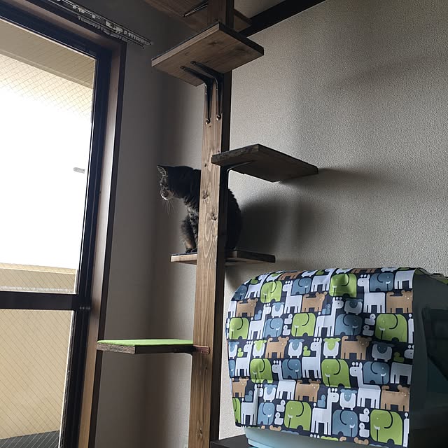 Toraさんの実例写真
