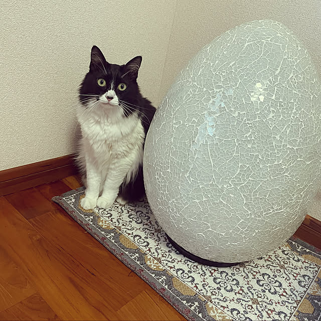 Yunさんの実例写真
