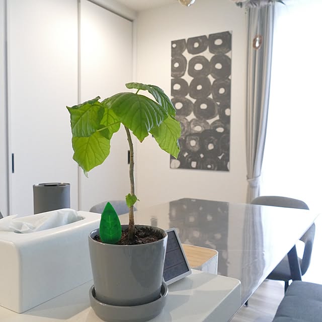 ya_maさんの部屋