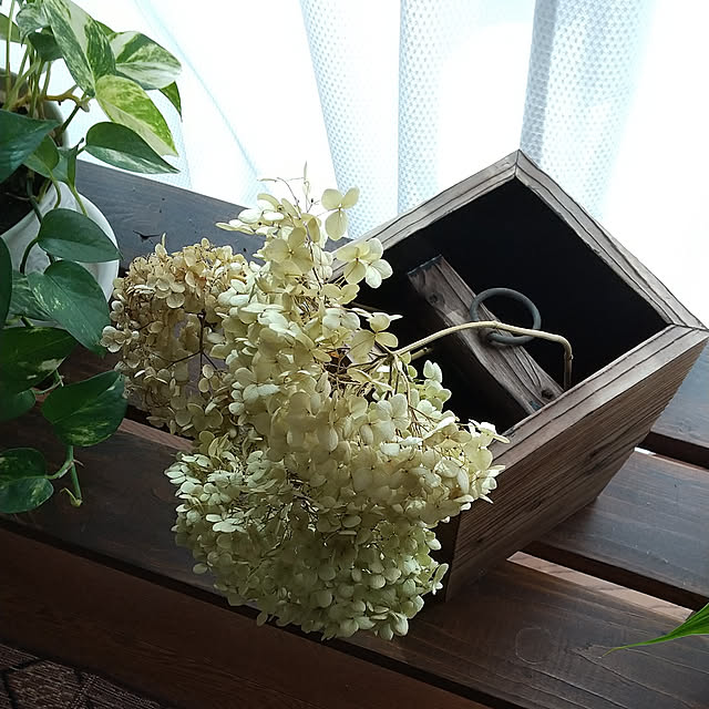 Renさんの実例写真