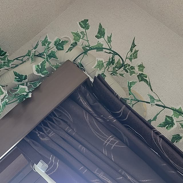 genesisjapanさんの実例写真