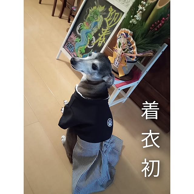 moruさんの部屋