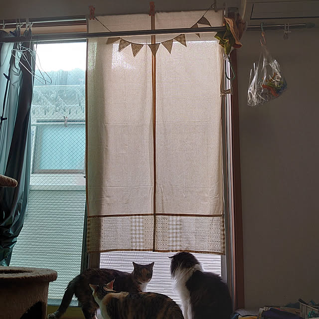 shinobuさんの実例写真