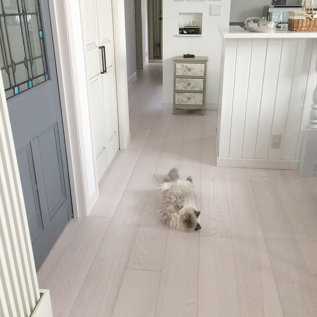 yuchiさんの実例写真