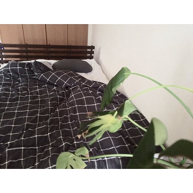 Mikiさんの実例写真