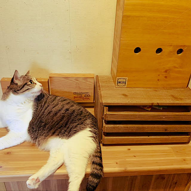 rioさんの実例写真