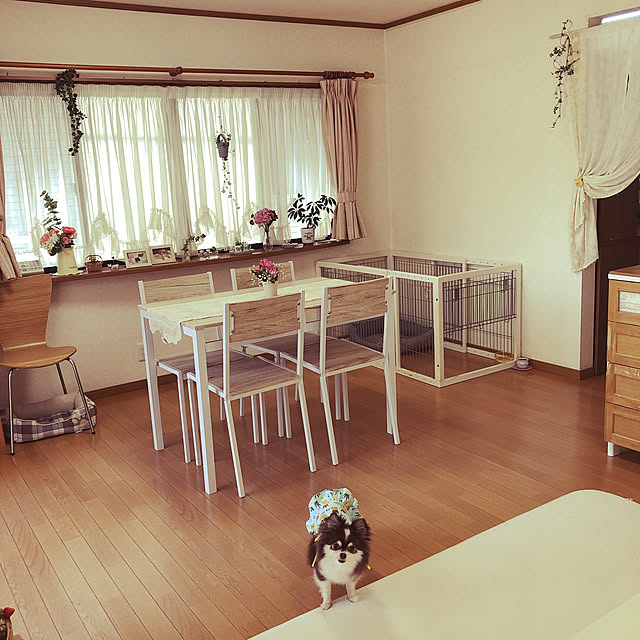 kanaさんの実例写真