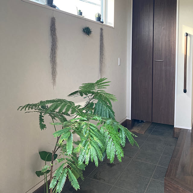 ma.さんの実例写真