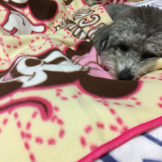 reonmamaさんの実例写真