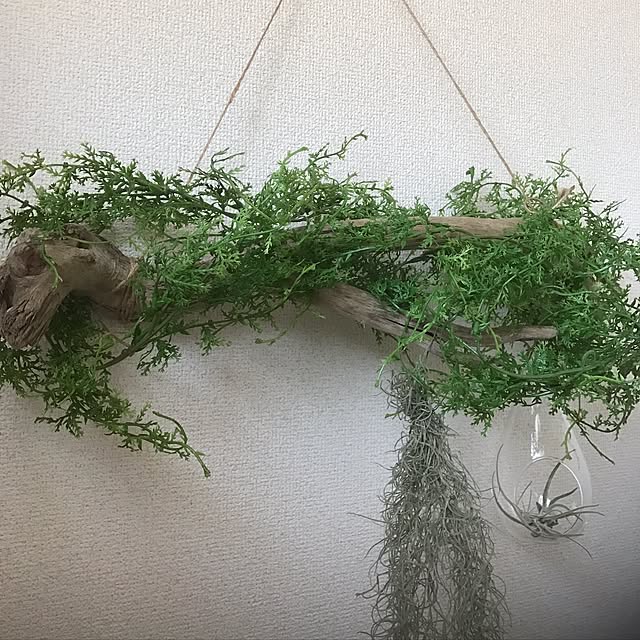 miyokoさんの実例写真