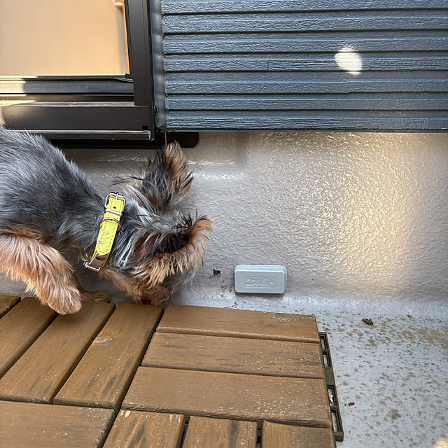 Y33355さんの実例写真