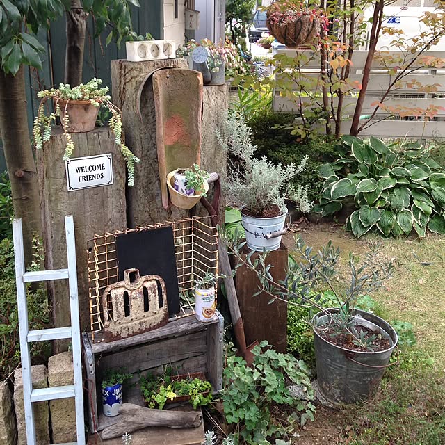 Emiさんの実例写真