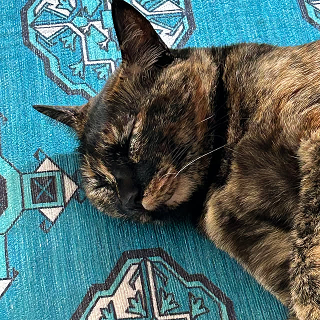 cocoさんの部屋
