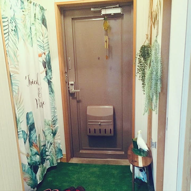 Liaさんの実例写真
