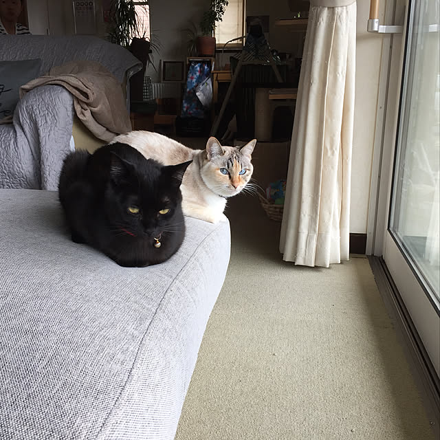 nanaさんの実例写真