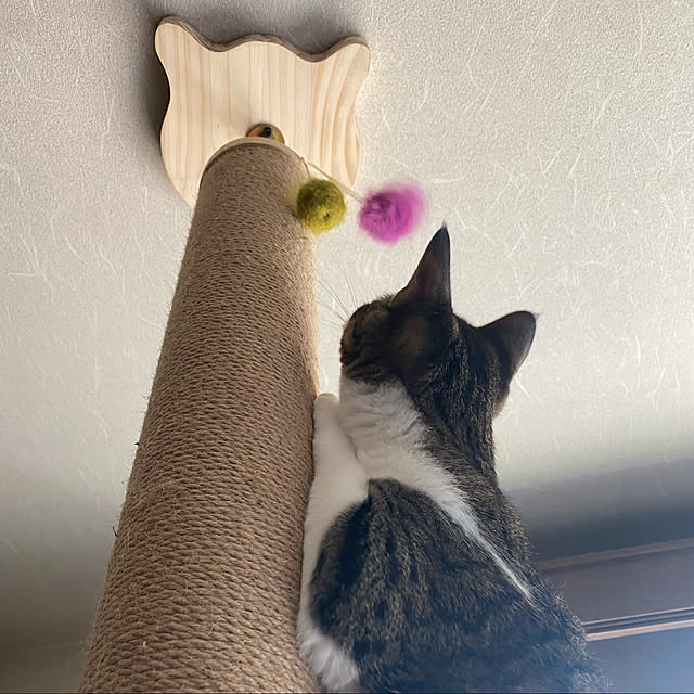 chokku23さんの実例写真