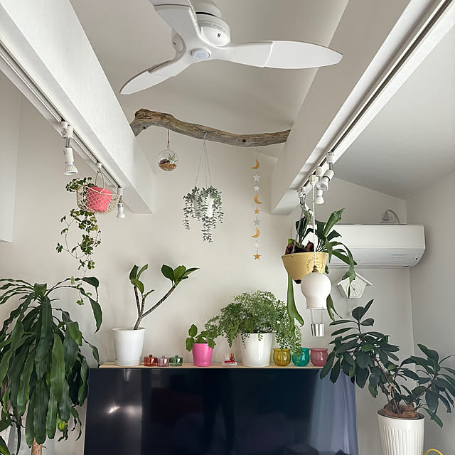 koji0さんの実例写真