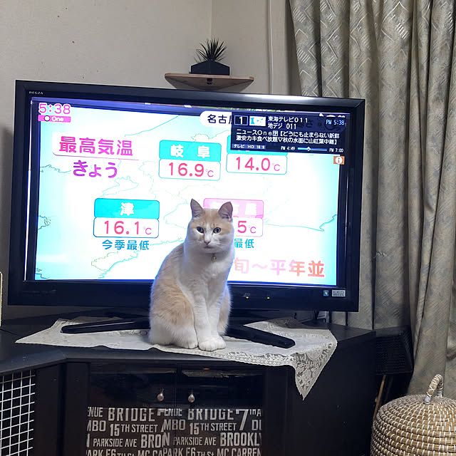 naworinさんの実例写真