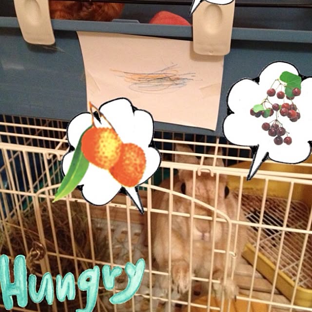 domadoma1212さんの実例写真