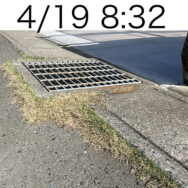 0x26#4