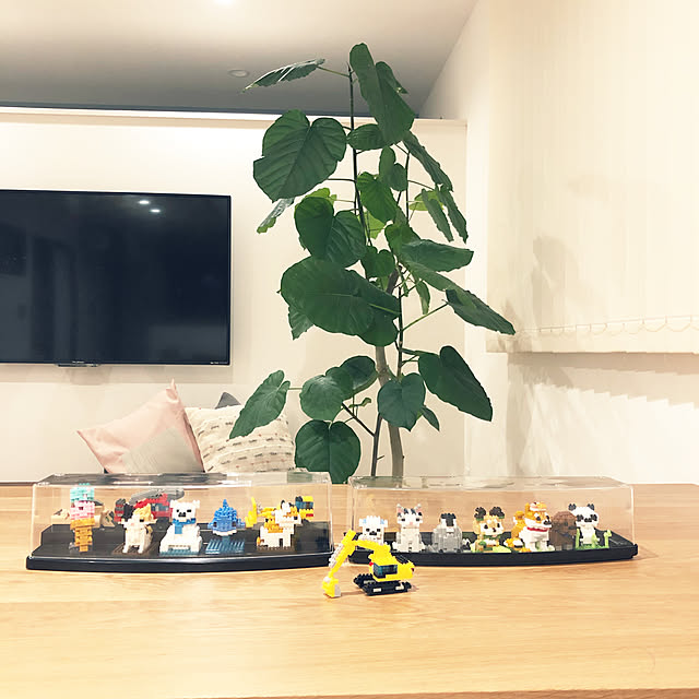 mint_homeさんの実例写真