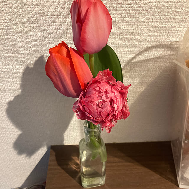 namikiさんの実例写真