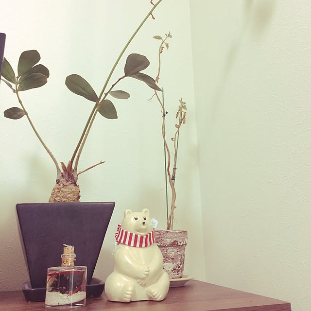 starflower333さんの実例写真
