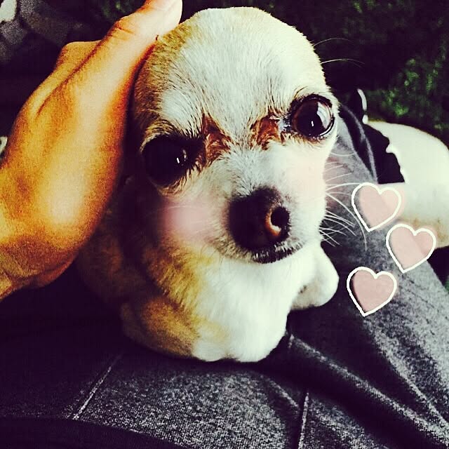 実例写真