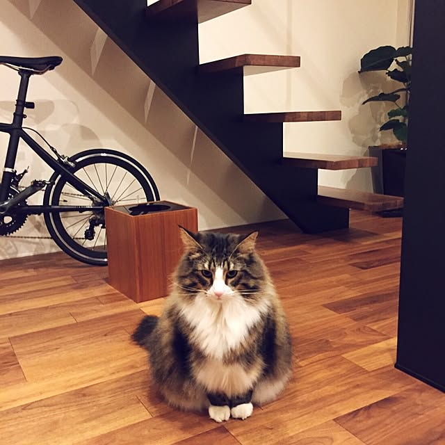 tongarihouseさんの実例写真