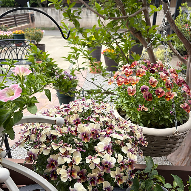 ronronさんの部屋