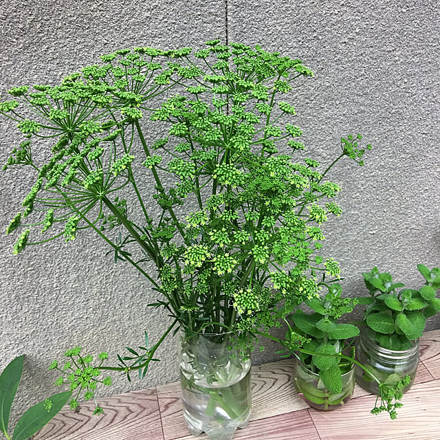 akekuroankoさんの実例写真
