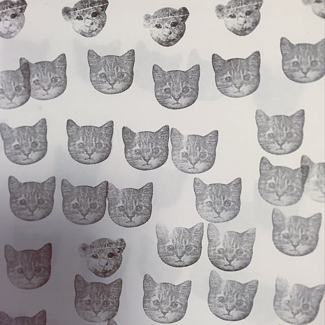 pariさんの実例写真
