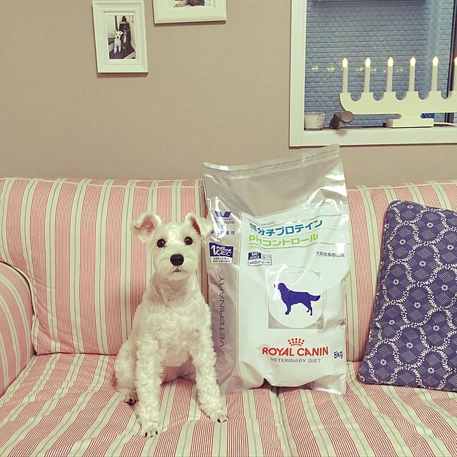 suzyさんの実例写真