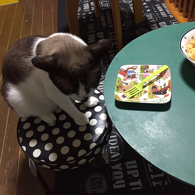 vivienne.coco-keiさんの実例写真