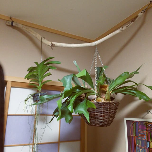 Esさんの実例写真