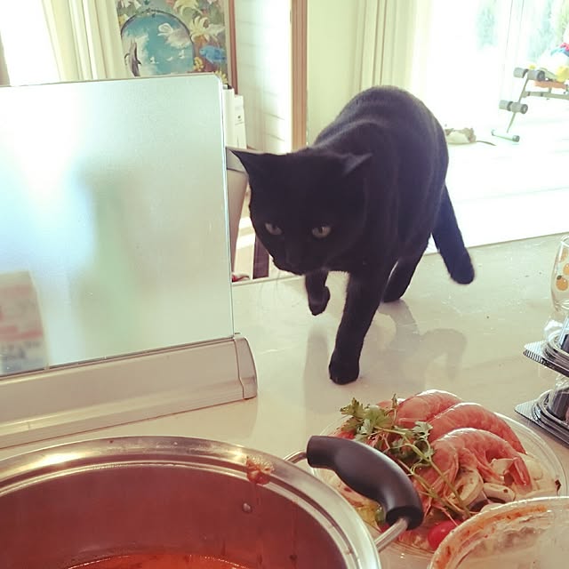 yumimiさんの実例写真