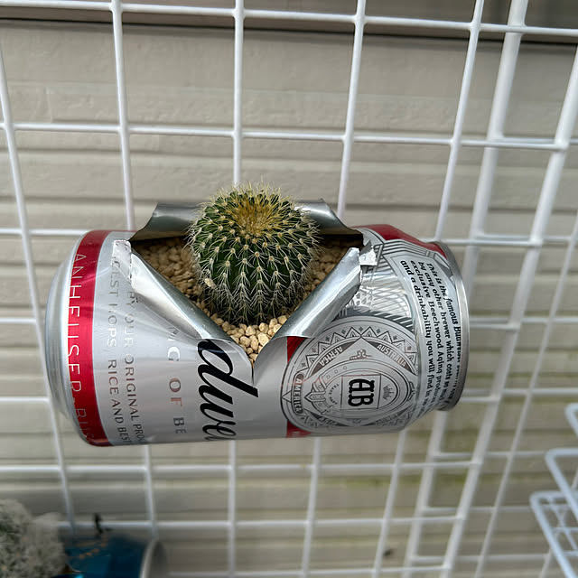 Mさんの部屋