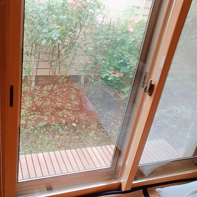 magnoliaさんの実例写真