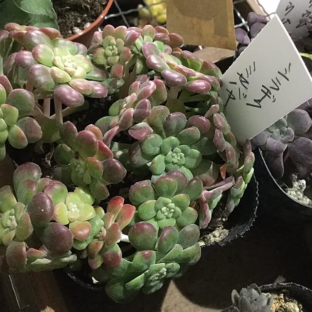 khma88さんの実例写真