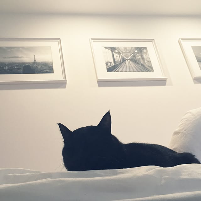 Takumiさんの実例写真
