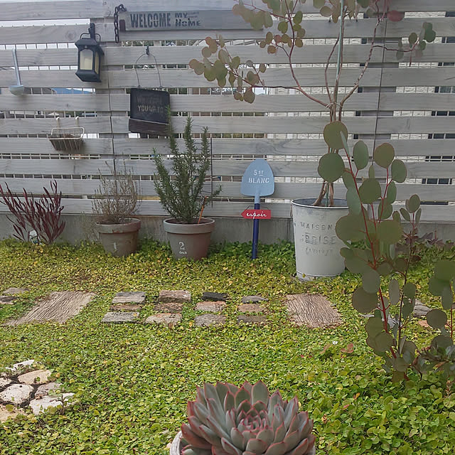 A.hさんの実例写真