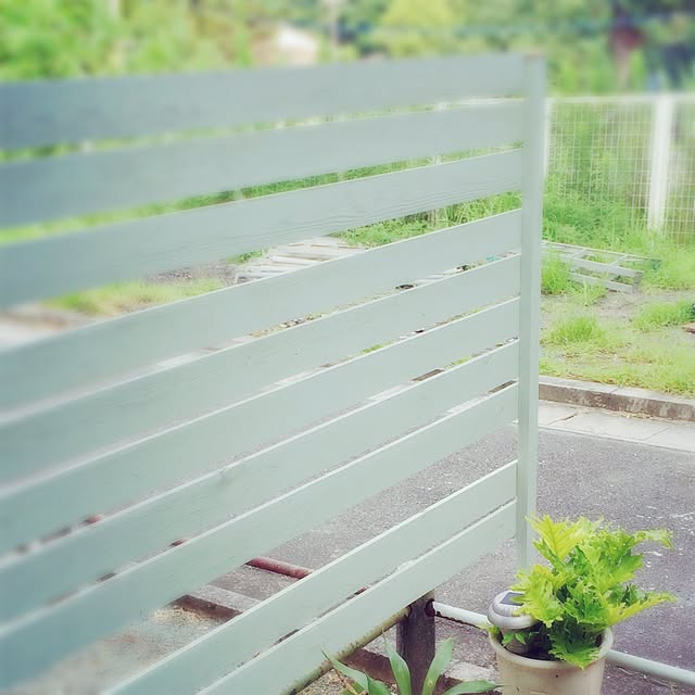 myomyoさんの実例写真
