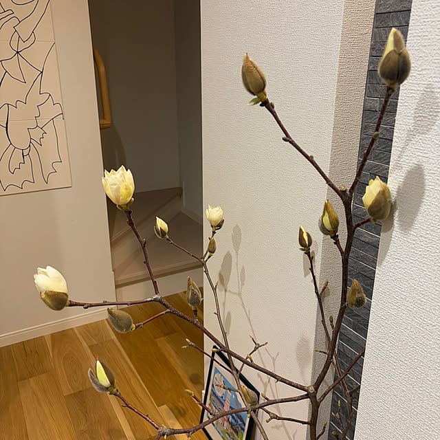 miffy.0044さんの部屋