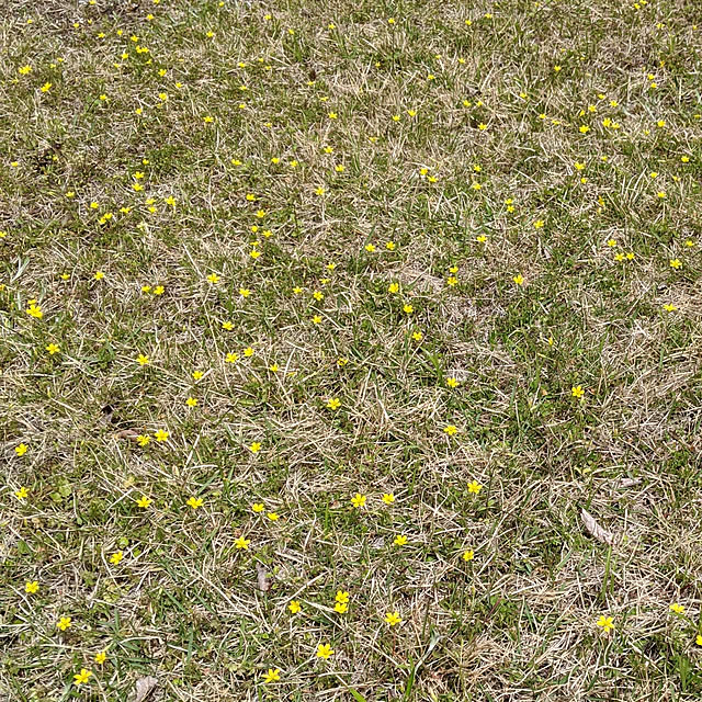 kouheiyuto24623takaさんの実例写真